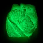 Toile d'araignée phosphorescente - Kf s a f b d cc bf bf dm - Decorative Events