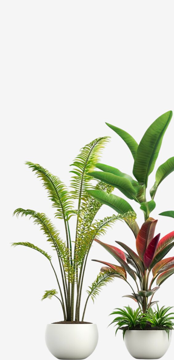 Accueil - Plantes artificielles - Decorative Events